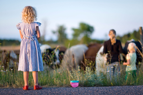 Three girls looking at cows on pasture