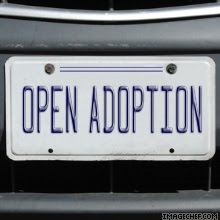 open adoption