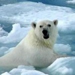 Foto del perfil de Alejandro