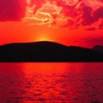 Foto del perfil de susana