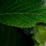 Foto del perfil de Paqui