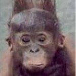 Foto del perfil de sromeroes