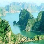 Foto del perfil de Arrayan